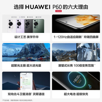 华为/HUAWEI P60 超聚光XMAGE影像 双向北斗卫星消息 256GB 羽砂黑 鸿蒙曲面屏 